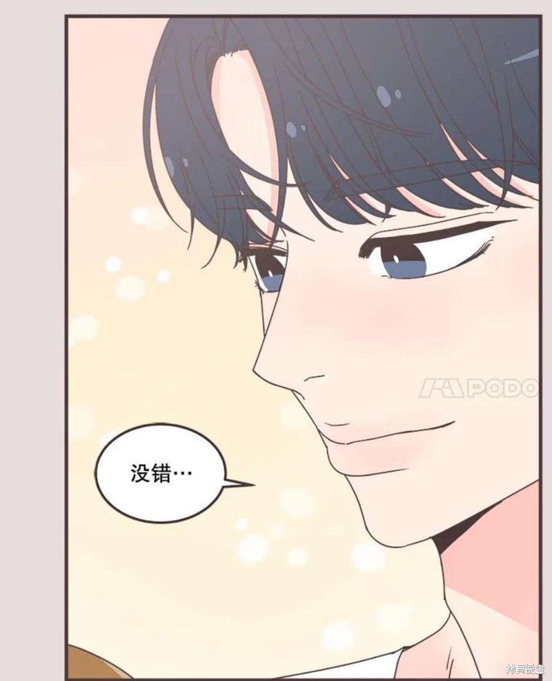 第 106 页