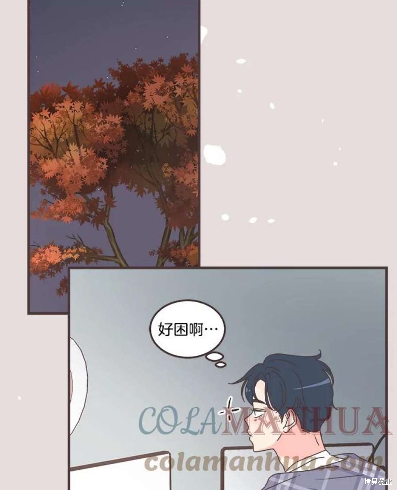 第 95 页