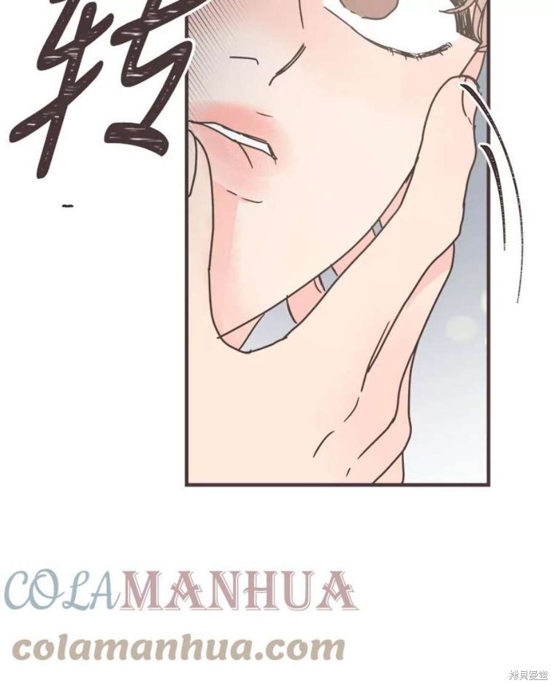 第 113 页