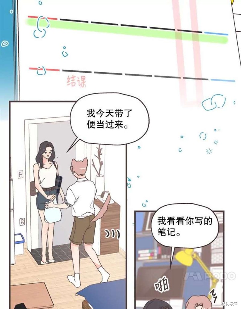 第 91 页