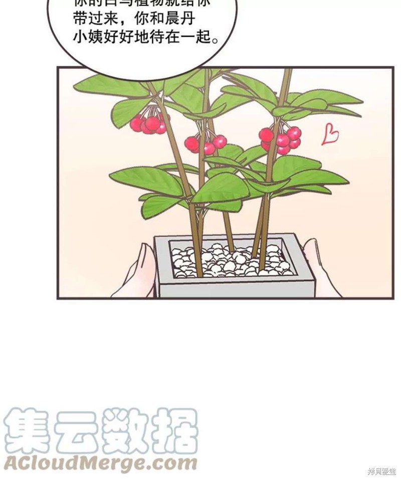 第 95 页