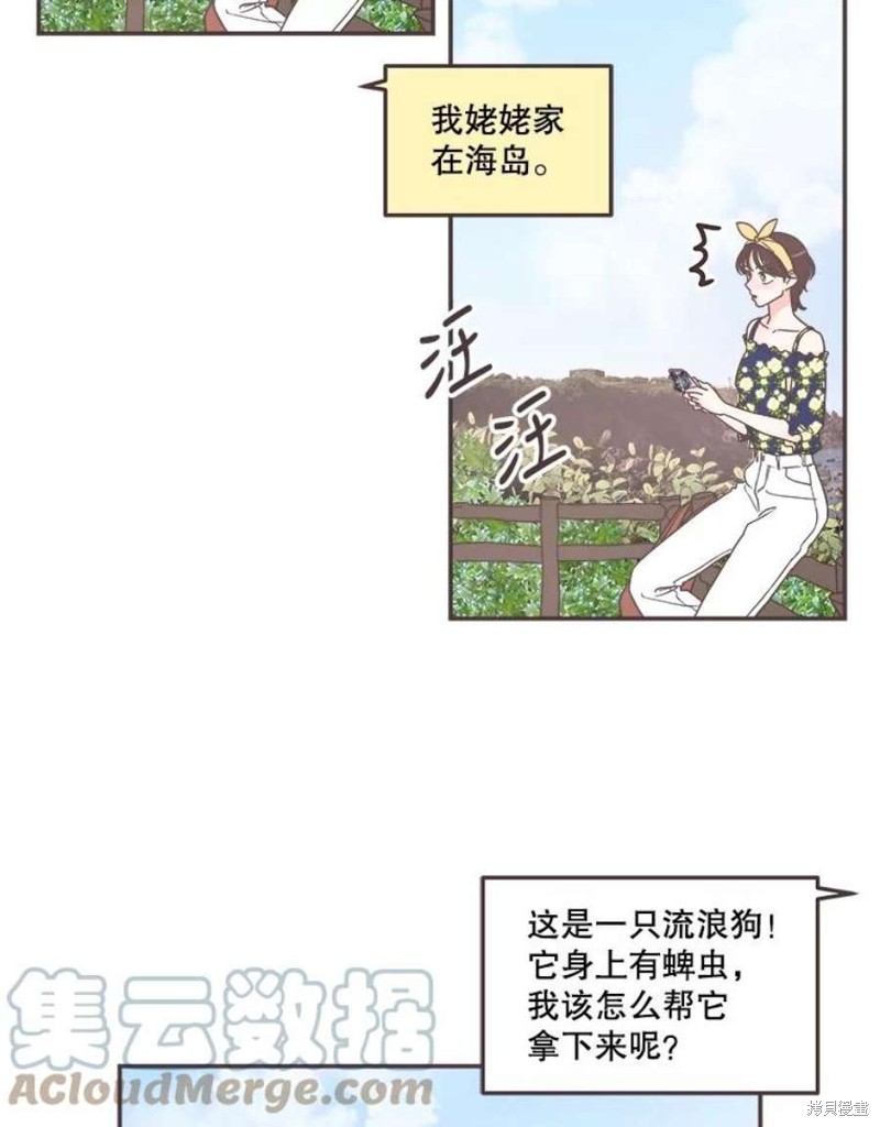 第 63 页