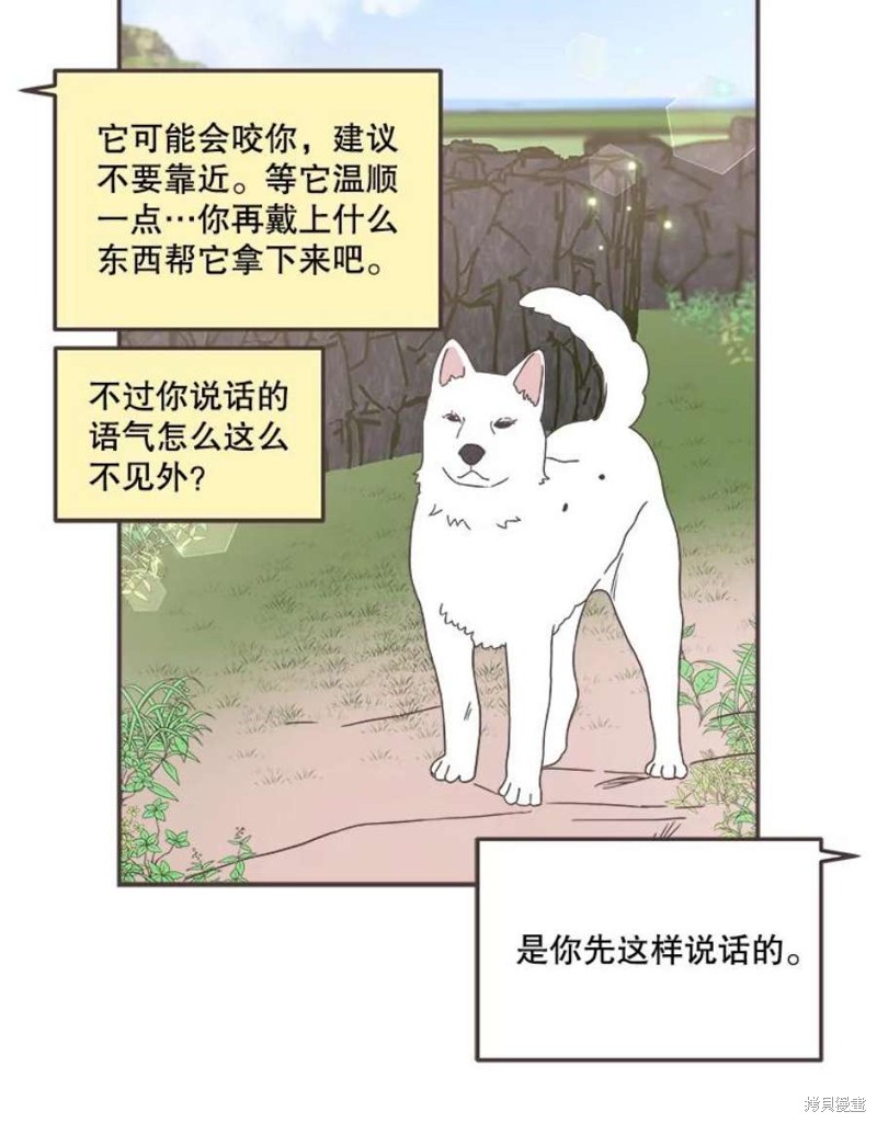 第 64 页