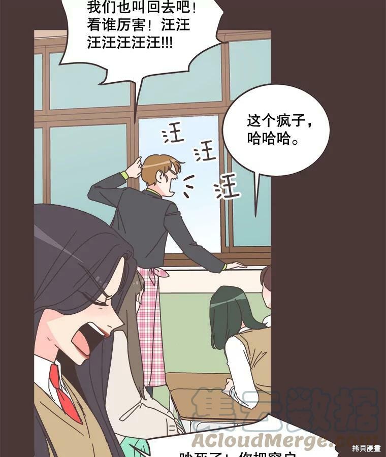 第 41 页