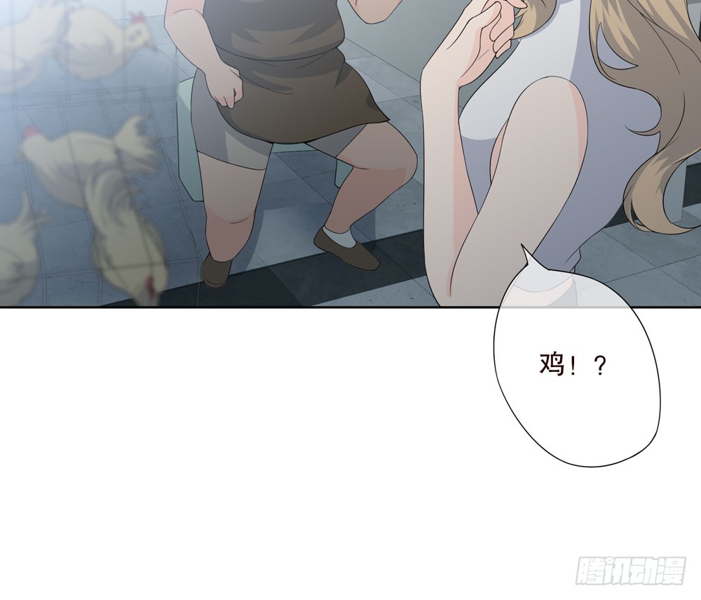 第 51 页