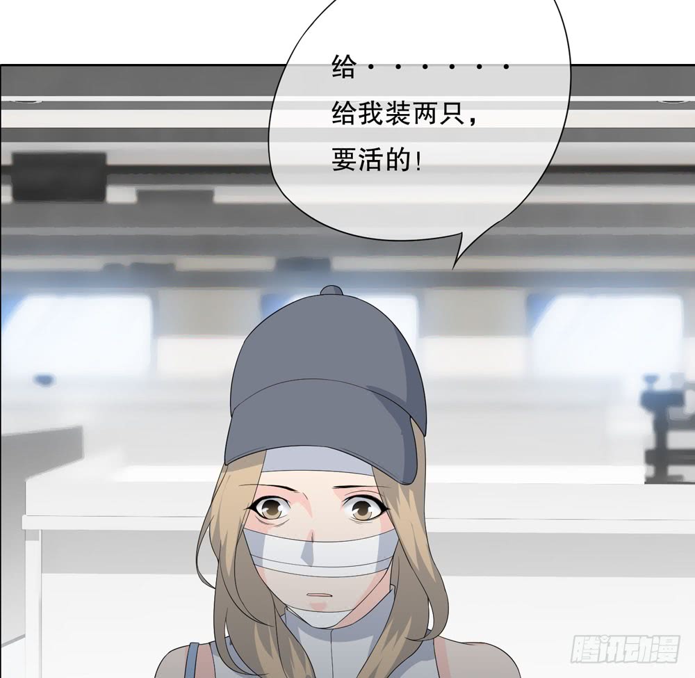 第 55 页