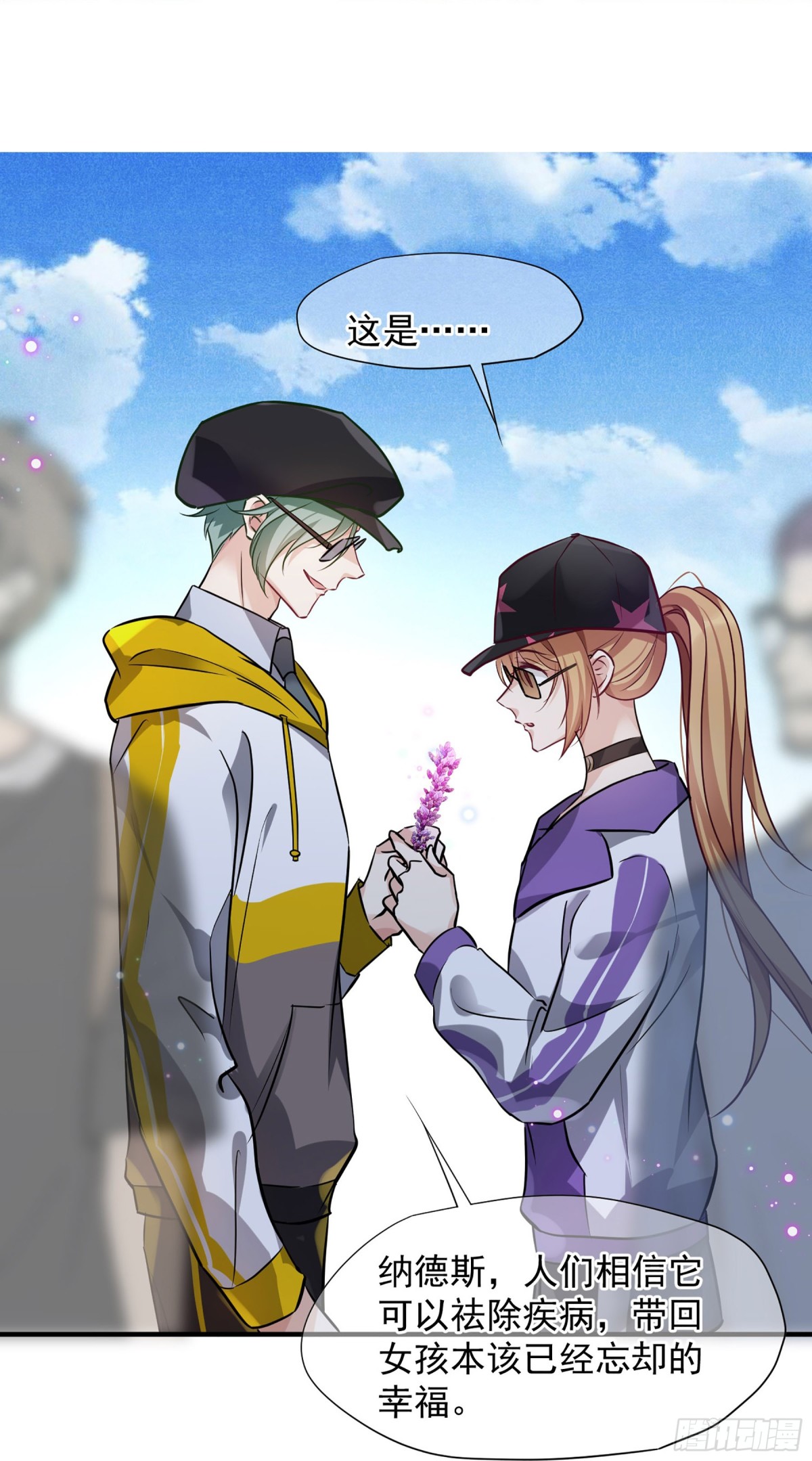 第 12 页