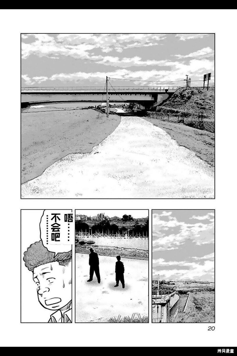 第 20 页