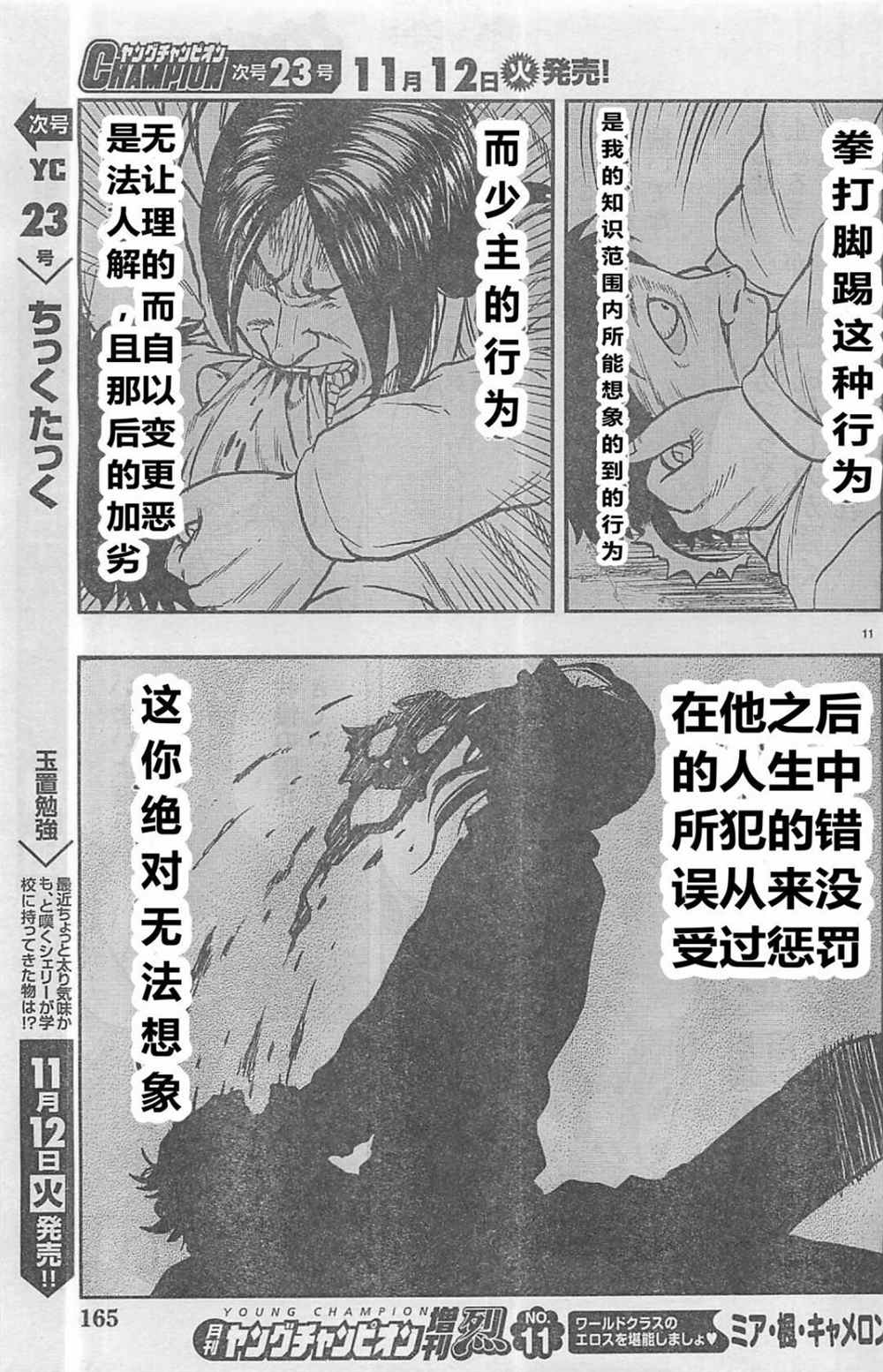 第 11 页