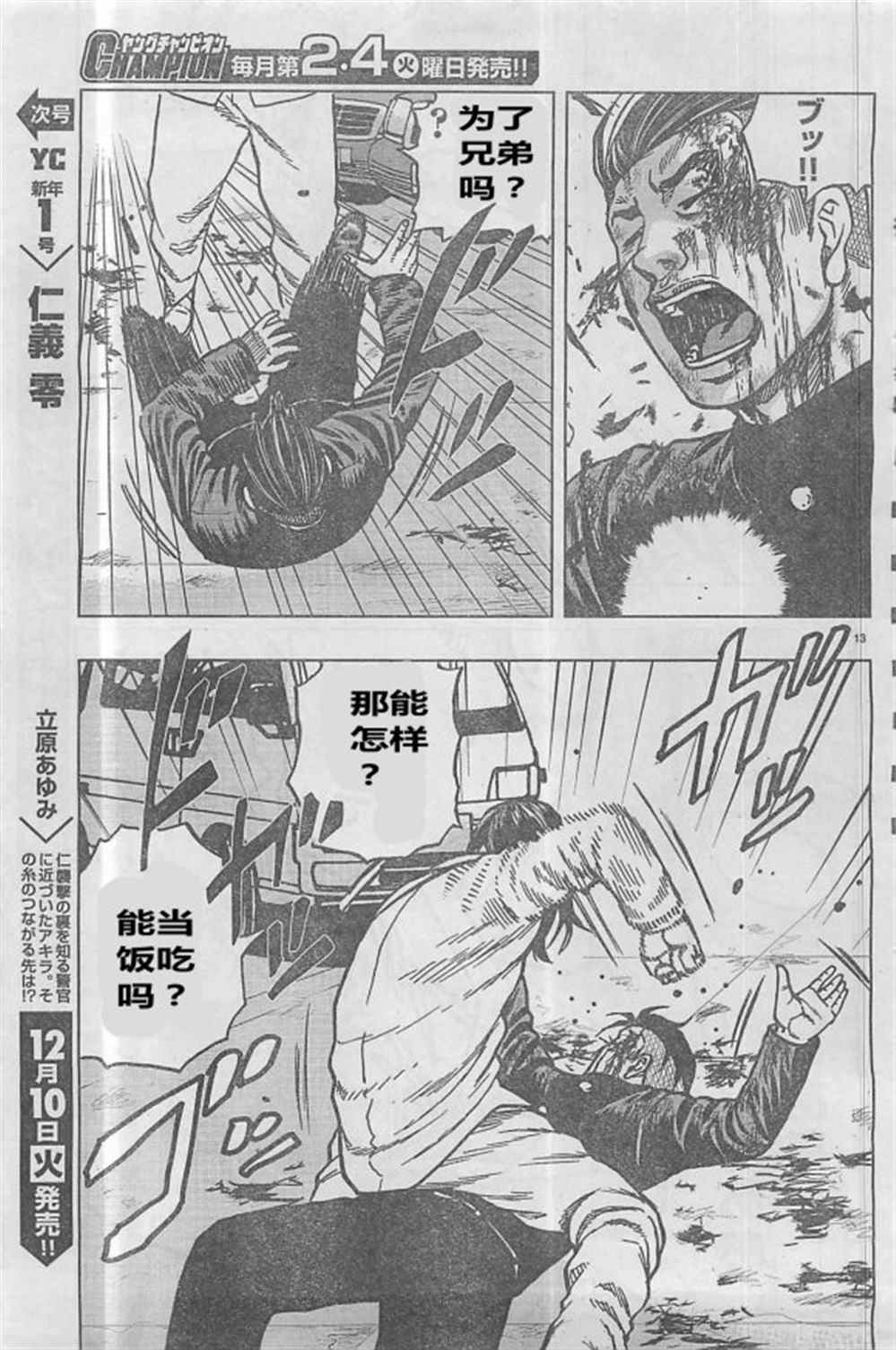第 13 页