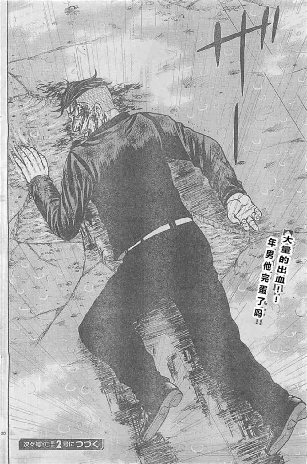 第 20 页