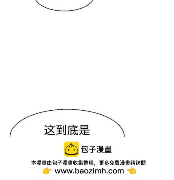 第 100 页