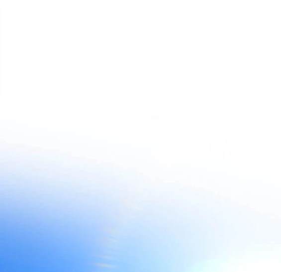 第 121 页