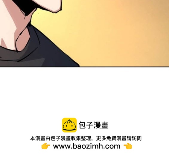第 100 页