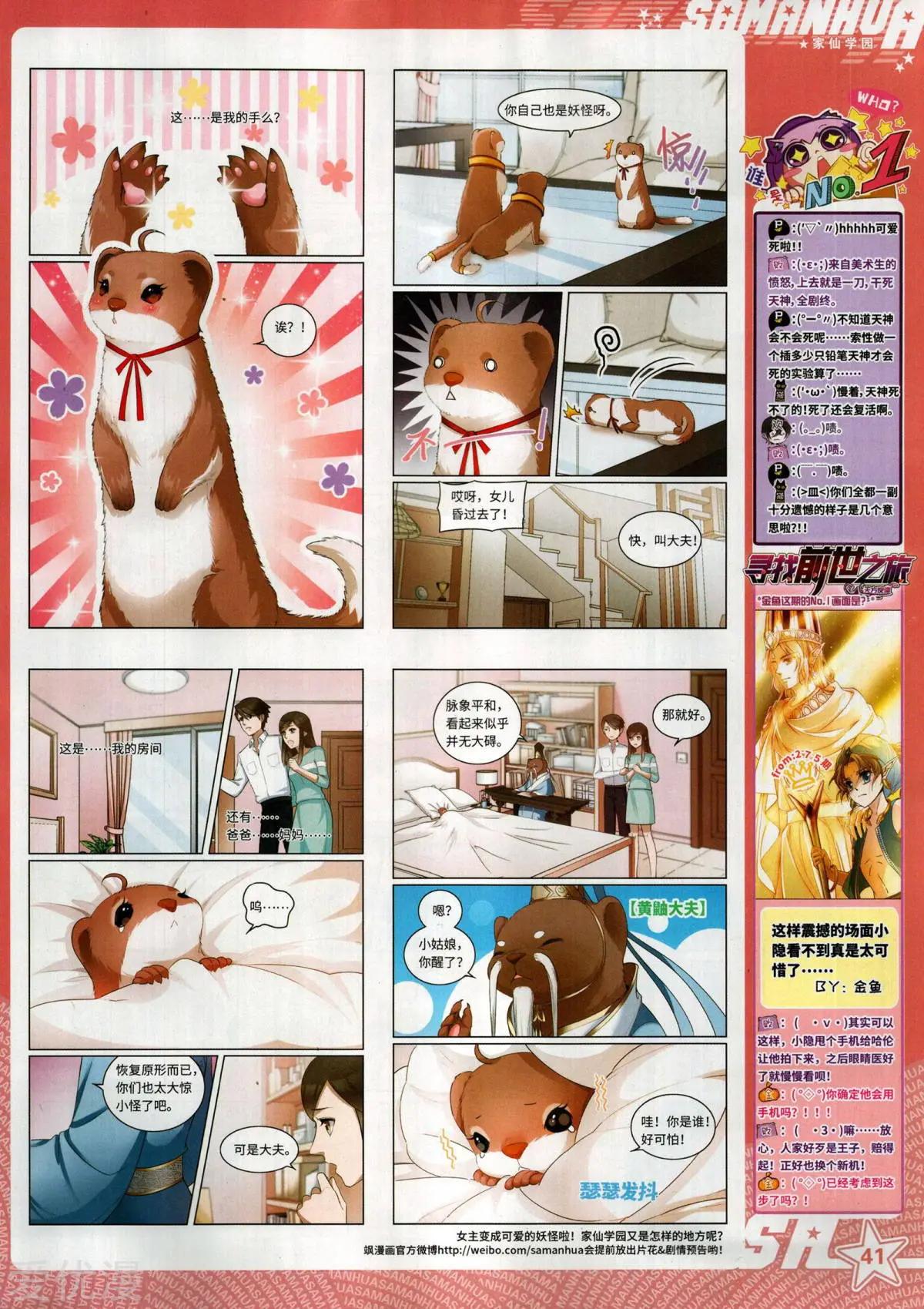 第 41 页