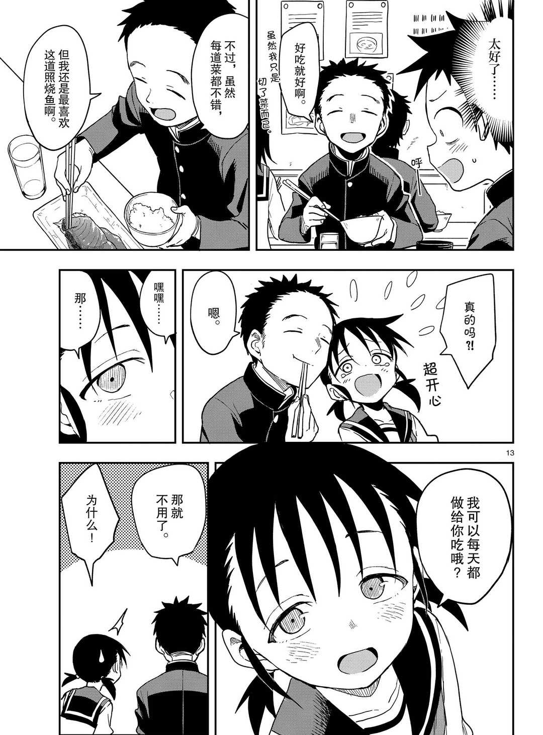 第 13 页