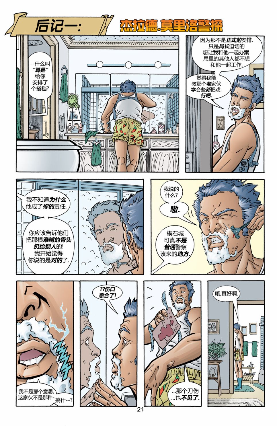 第 21 页