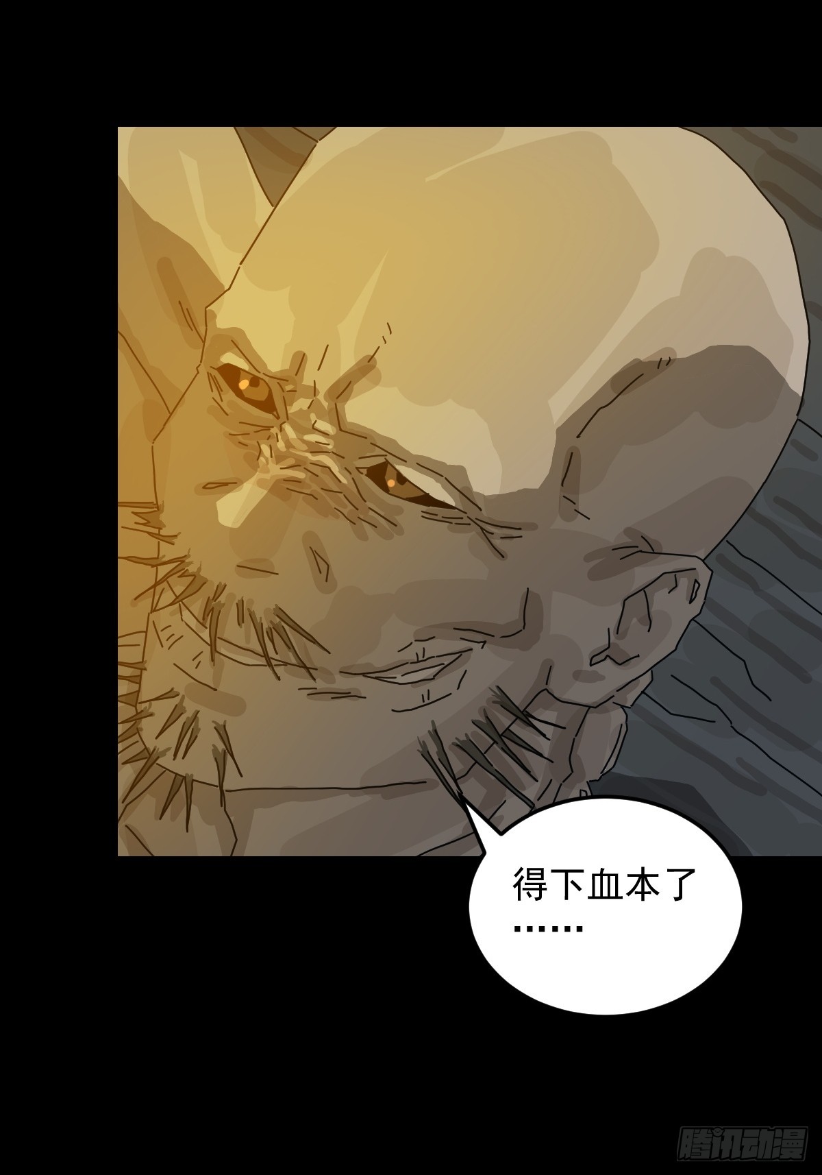 第 48 页