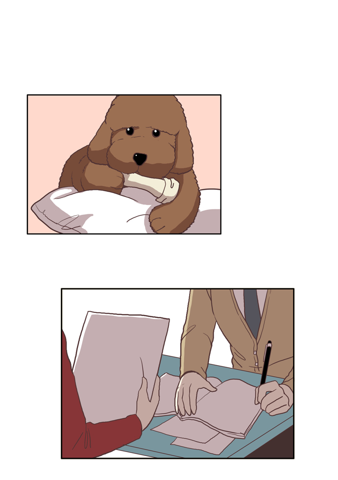 第 34 页