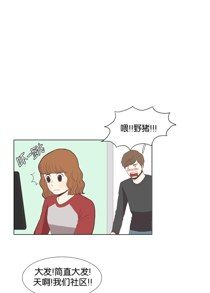 第 41 页