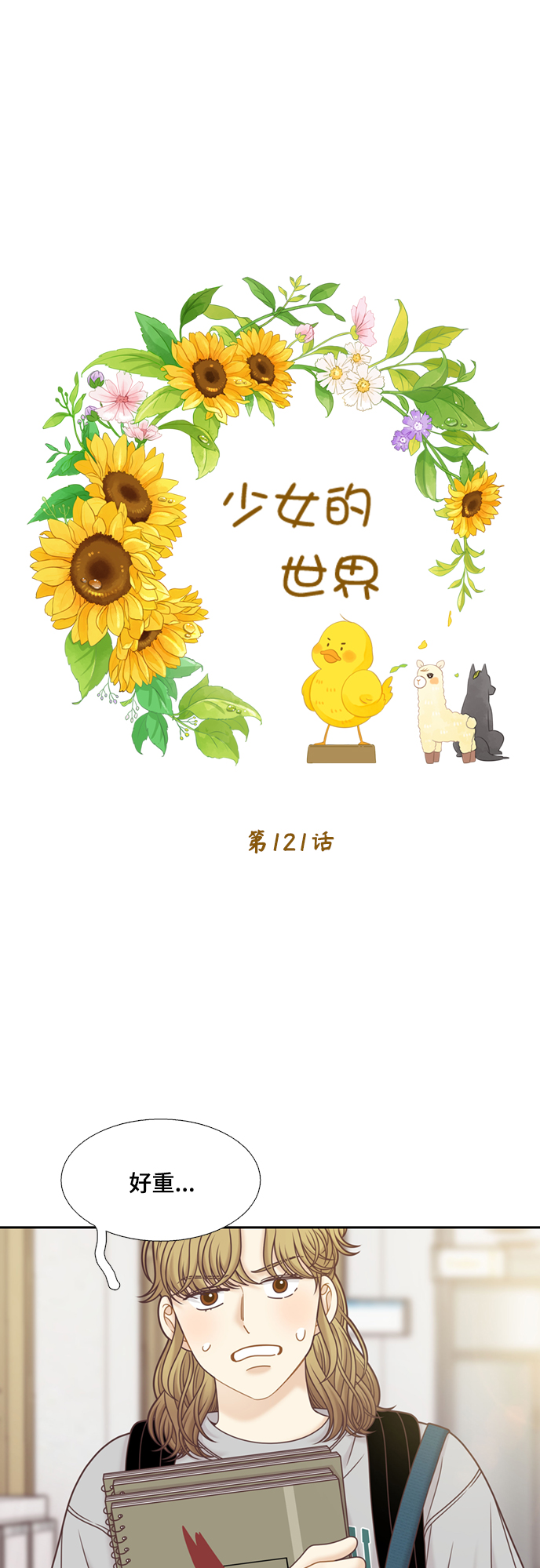第 26 页