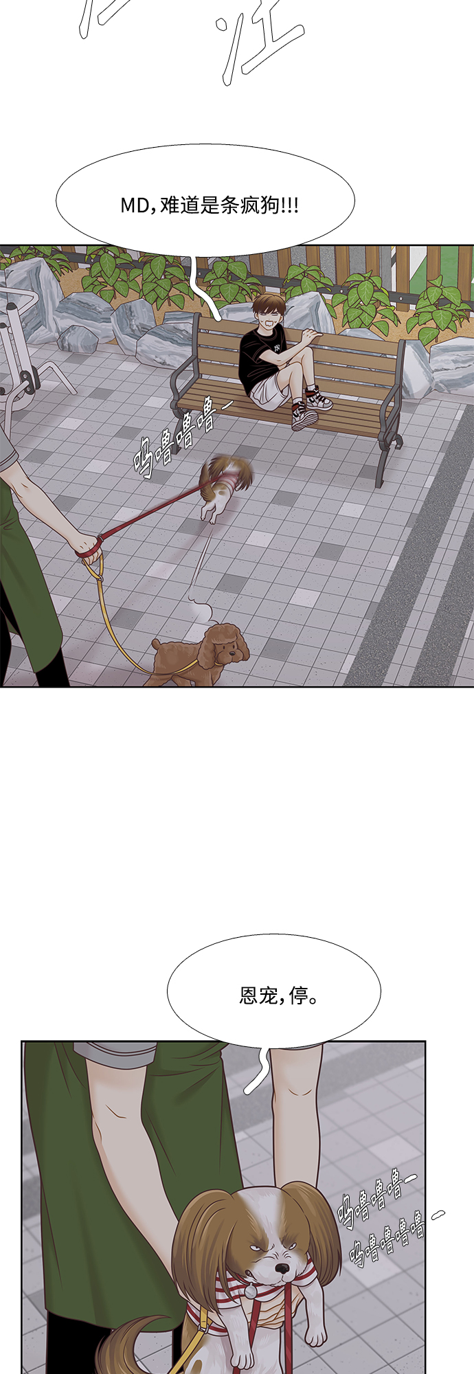 第 39 页