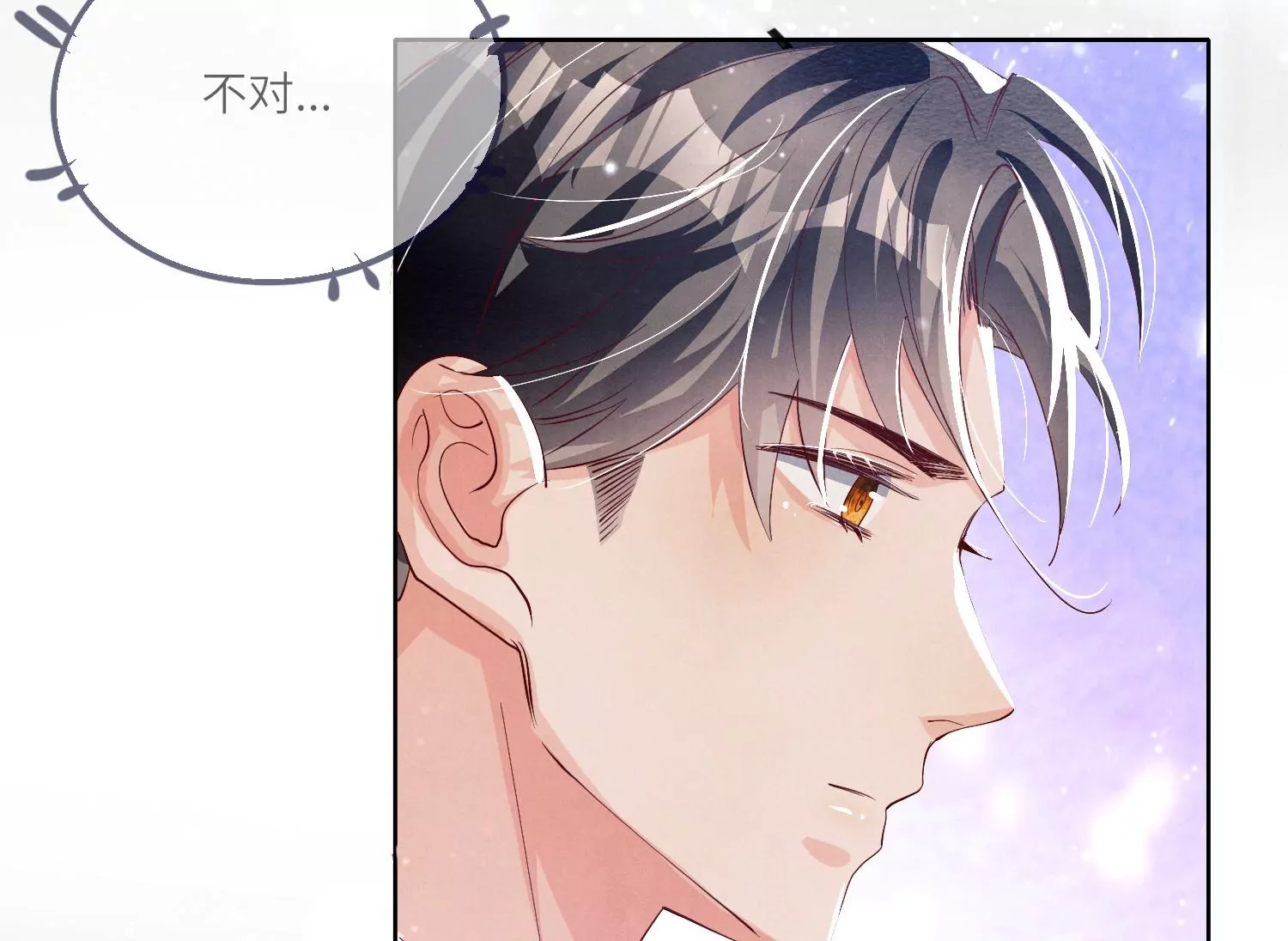 第 63 页