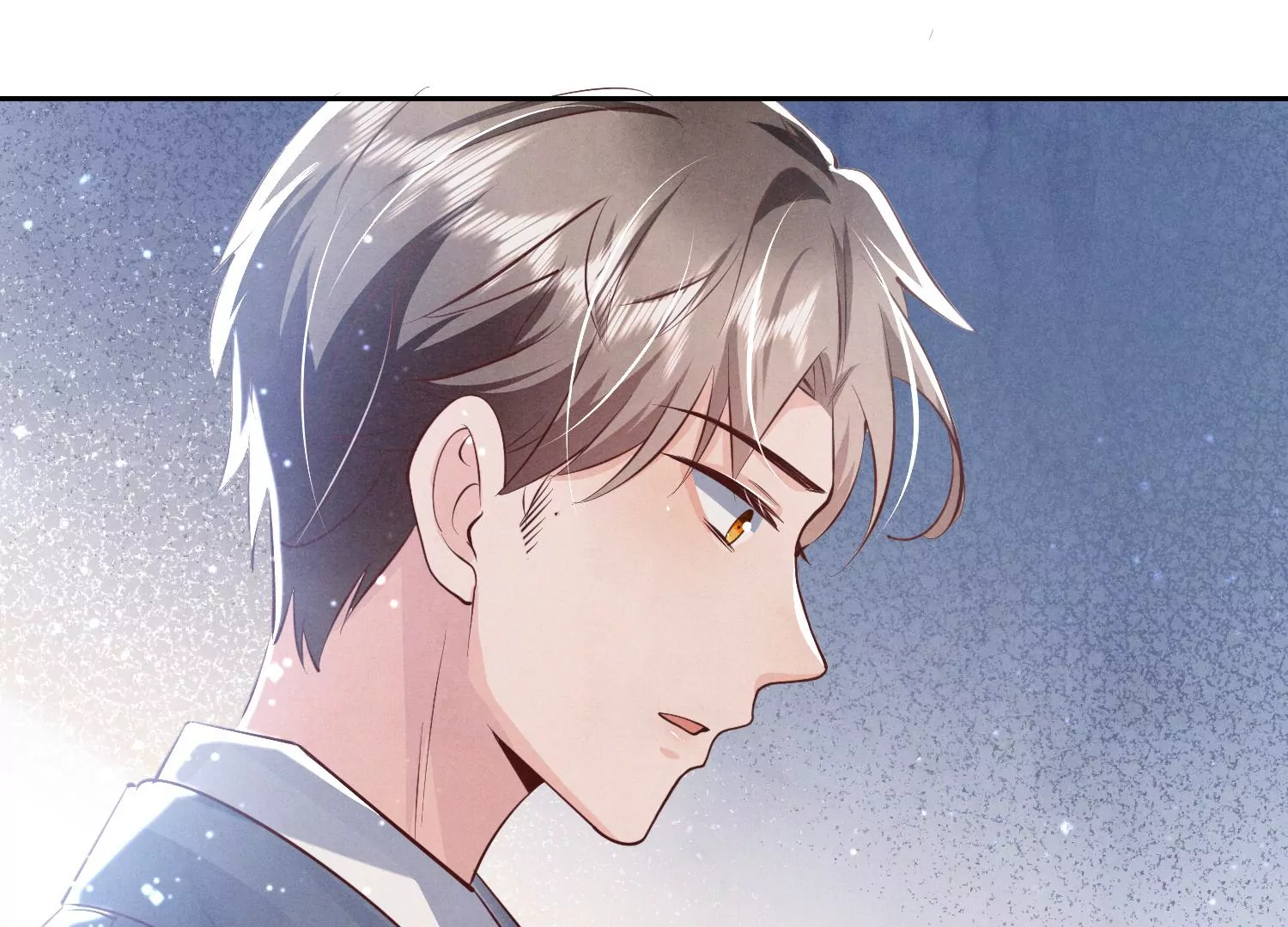 第 95 页