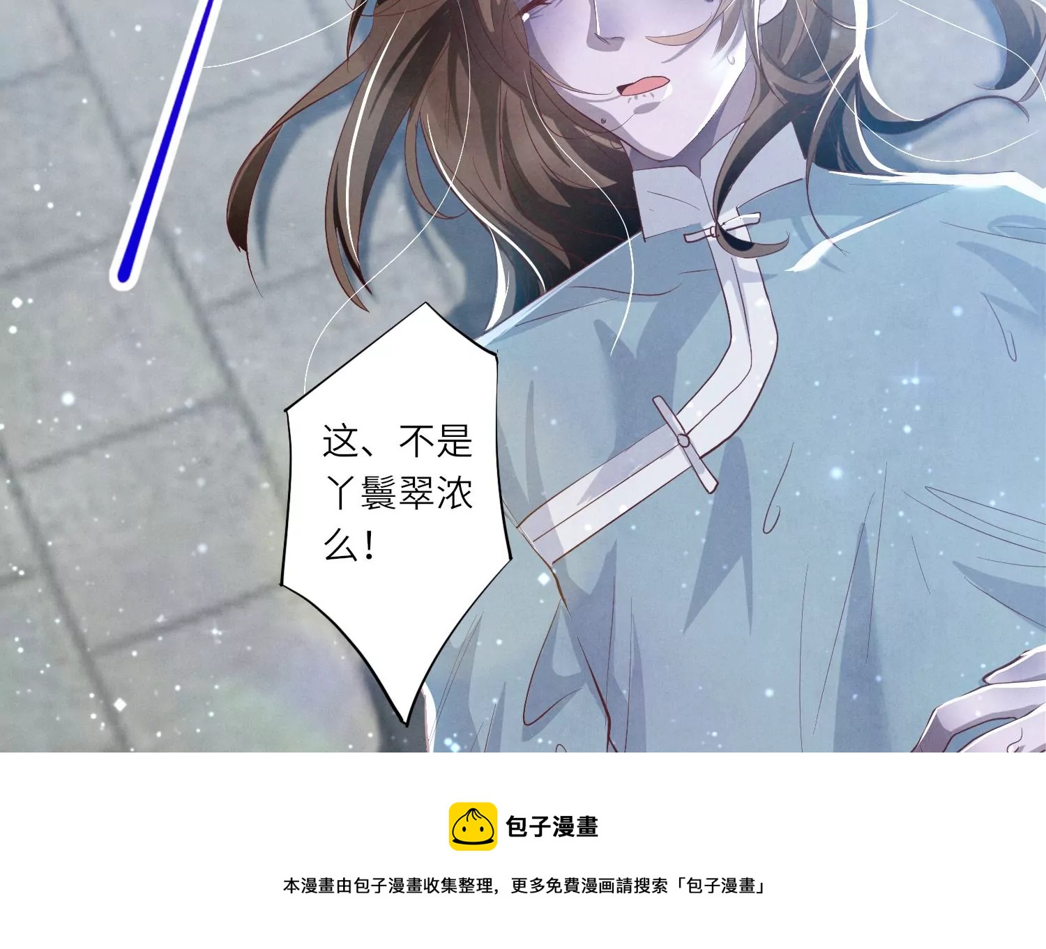 第 113 页