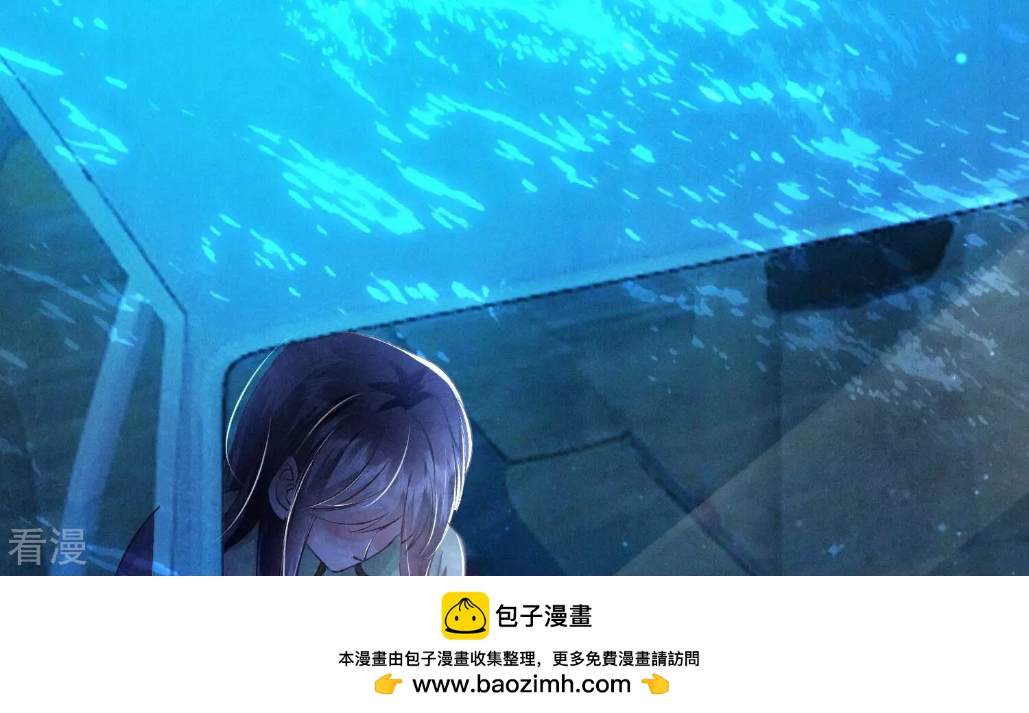 第 100 页