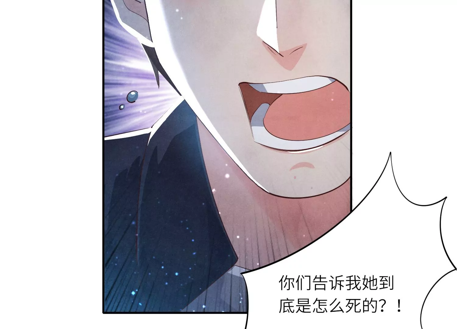 第 111 页