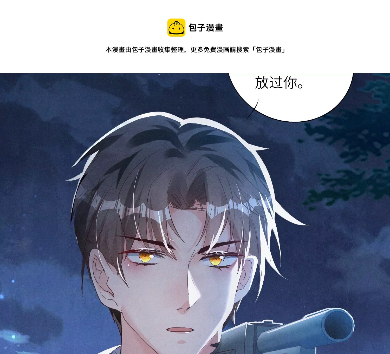 第 97 页