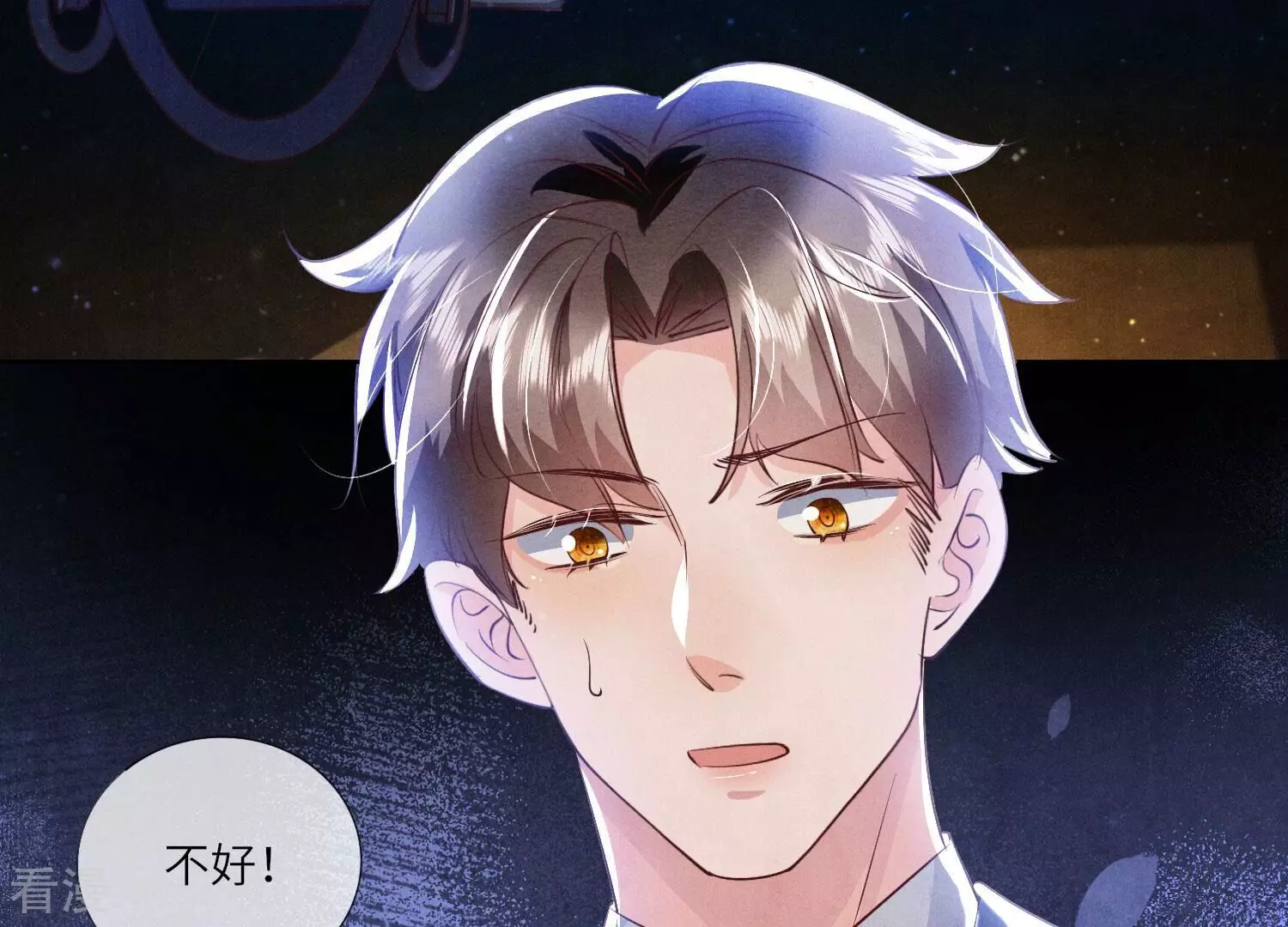 第 110 页