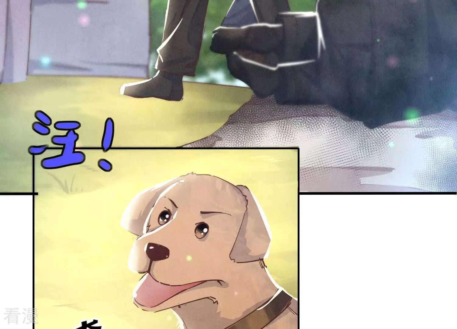 第 37 页