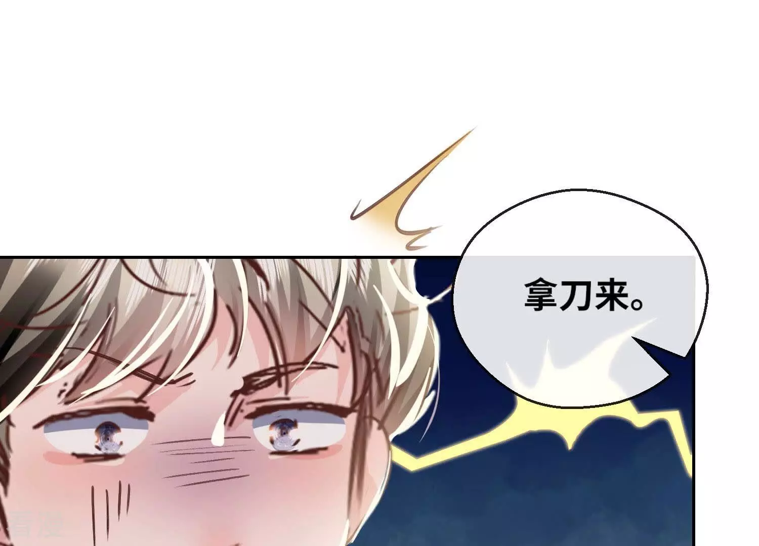 第 96 页
