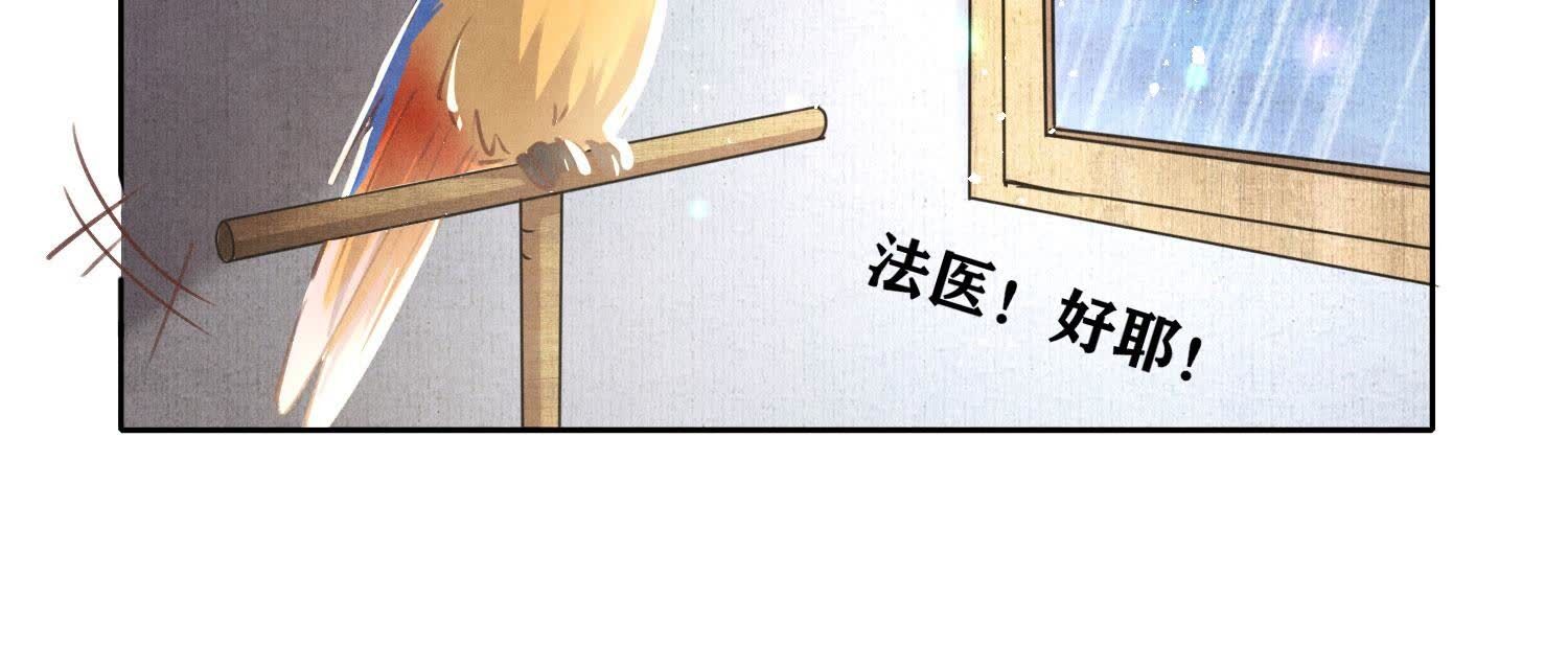 第 51 页