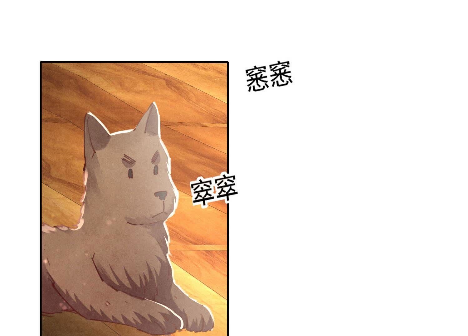 第 82 页