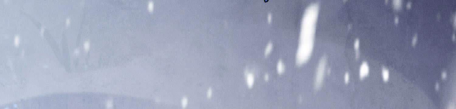 第 93 页
