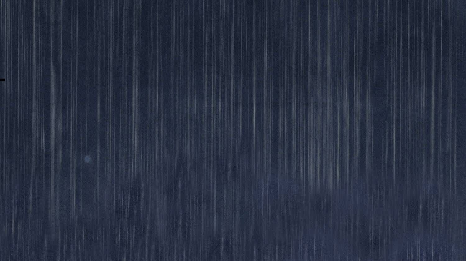 第 96 页