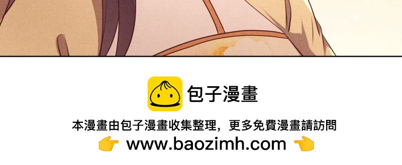 第 100 页