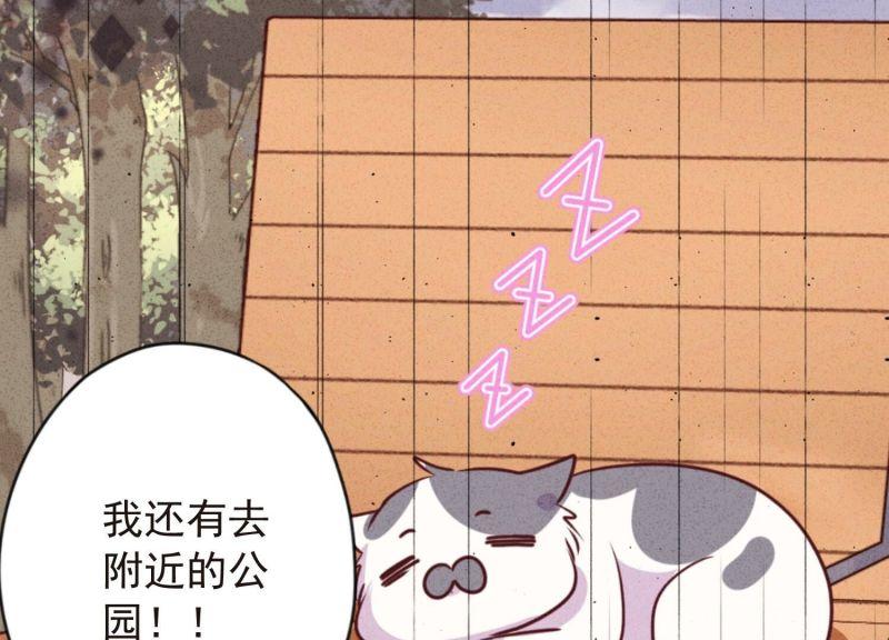 第 78 页