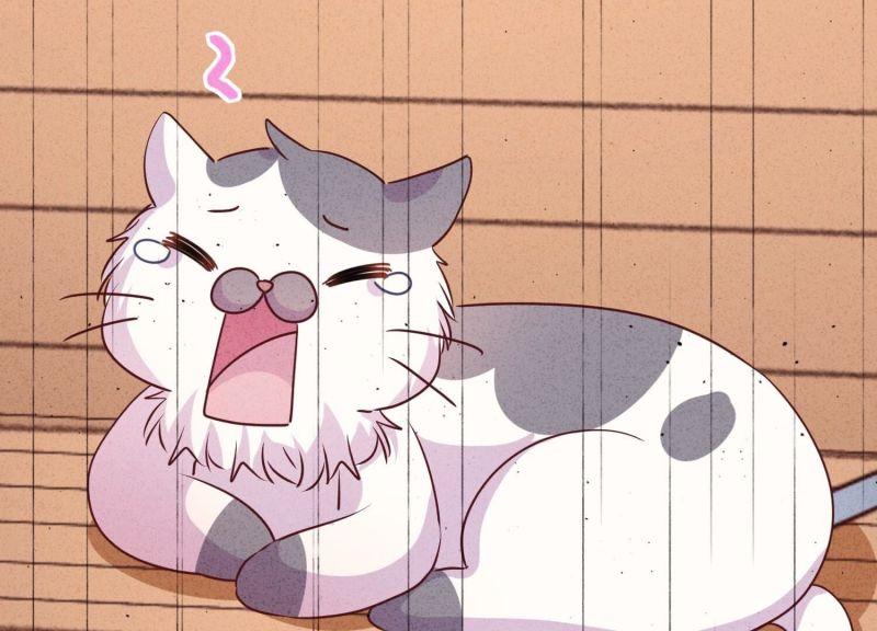 第 82 页
