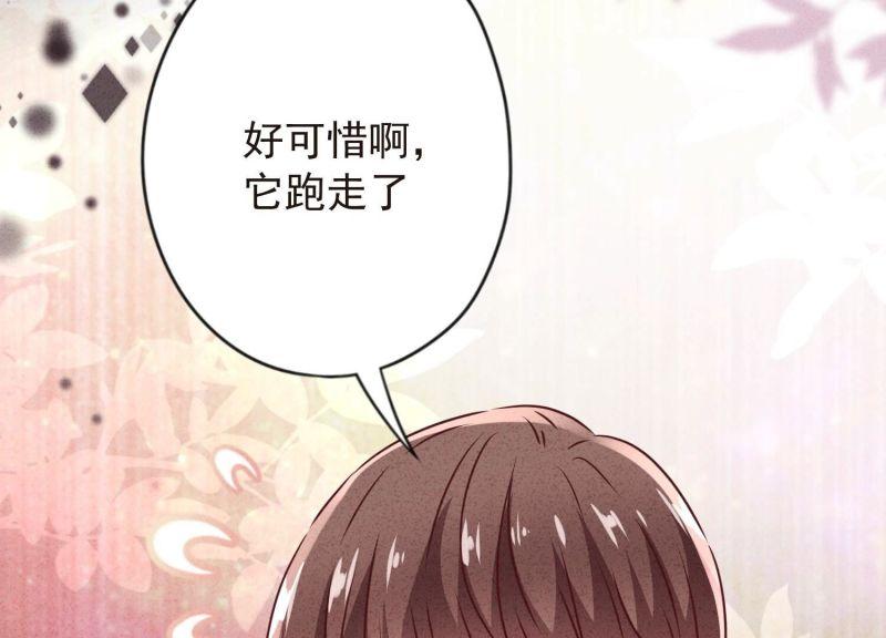 第 85 页