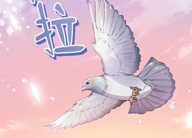第 101 页