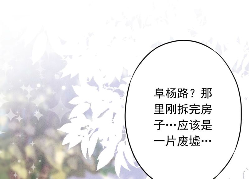 第 85 页