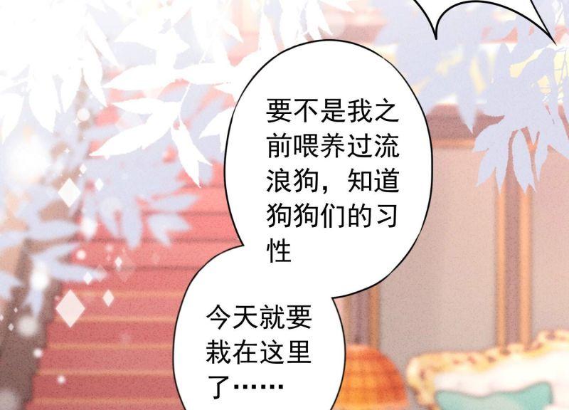 第 77 页