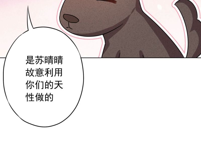 第 88 页