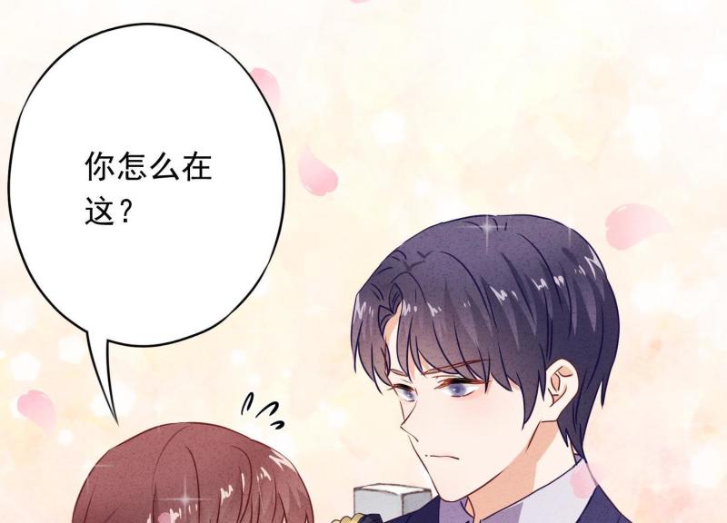 第 117 页