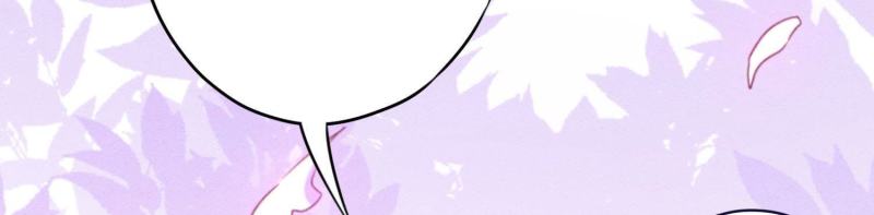 第 113 页
