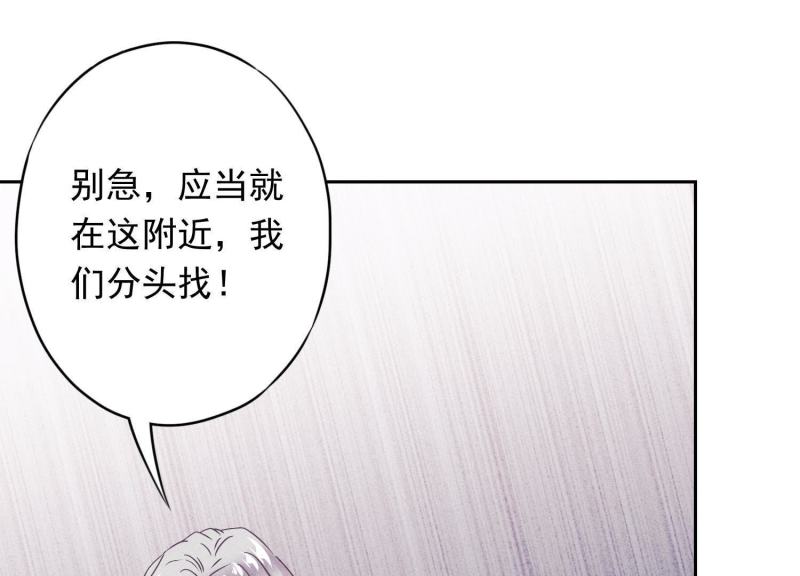 第 95 页